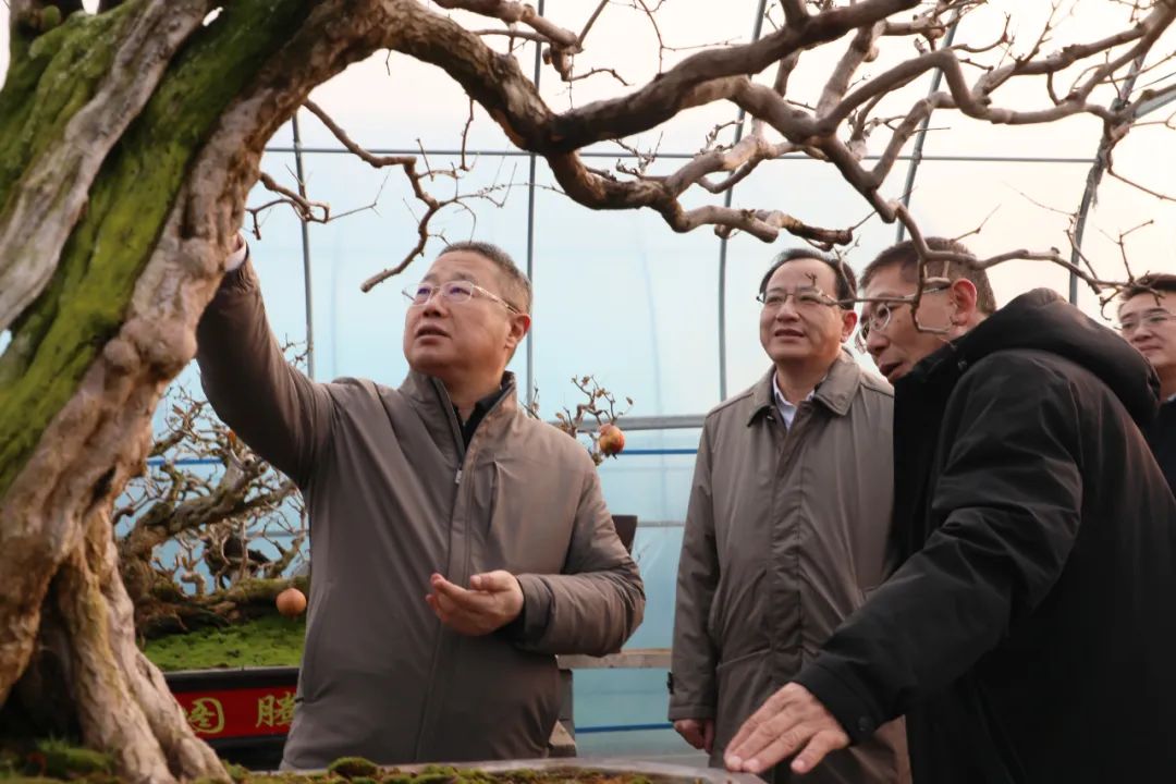 ���f��ί����ӛ������ί��ӛ����(gu��)�ށ�F�ǅ^(q��)�{(di��o)��ʯ��a(ch��n)�I(y��)�l(f��)չ����